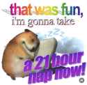 20240729_131548