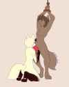 1568897659.wolfie-pawz_wpz_bj