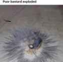 arcane gone wrong