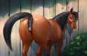 1610908532.jotun22_cloppermania-web