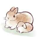 [twitter] Cindysuke—2025.06.01—1929012849923219693—GsU69miaMAIXD0A