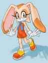 0fb5a8de7da21397b3cffdee16a2dde1