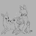 009ffc30beb4c77b8baa717f2b6e1f3dfbb6fbd4