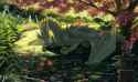 anoroth_falindrith_illu_koi_final_1920px