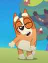Cute Bingus