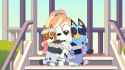vlcsnap-2024-09-04-13h34m46s984