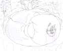 slushybloonfur