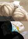 ferret_pec_