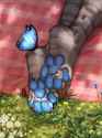 Anthro paws