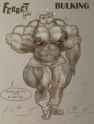 Ferret_Girl_Bulking