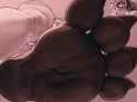 05c5a7a199c8d4551cfe86b7c47720b5
