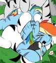 2787982__explicit_artist-colon-php137_derpibooru+import_rainbow+dash_zebra_cum_group+sex_image_png_sex_striped_threesome_zebra+stripes_zebradom