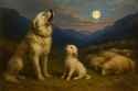 20250712_1355_Howling at the Moon_simple_compose_01jzz7srjfe23ad3kfsnm05ts2
