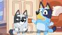 vlcsnap-2024-10-06-13h29m27s538