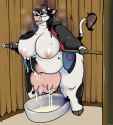 1647552572.danji-isthmus_mama_s_milk