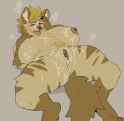 Cum Covered Hyena