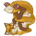 IMG-20231102-WA0018