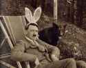 Furzig hase pr0nz? Jaaa