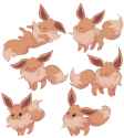 __eevee_pokemon_drawn_by_charamells__d297fd91cebfb7035a14ac1f5d341508
