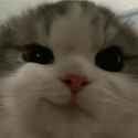 1732536475914188