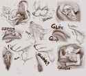 1694862864.lunlunfox_img_1407