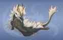 1711649170.leilryu_amatsu_sfwupl2