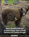Cookie bear