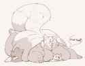 red_panda_blanket