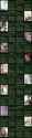 2.52 MB