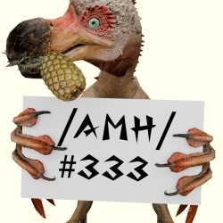 728 KB