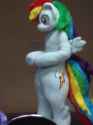889580__safe_rainbow+dash_backwards+cutie+mark_fursuit_japan_japan+ponycon_photo.jpg