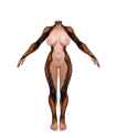 Body-Nude3.png