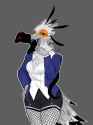 Jmaf33r (twitter) - Guj8FqnXgAANv51-secretary_bird.jfif.jpg