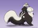 cutie_skunk_by_gillpanda_danuq8u-fullview.jpg