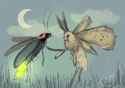 tumblr_0b8c25579c692147564c6af7bb02db3f_662d371c_1280 - Moth and Firefly.png