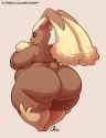 lopunny web.png