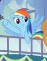 1983741__safe_screencap_rainbow+dash_spike+at+your+service_cropped_cute_dashabetes_female_mare_offscreen+character_pegasus_pony_raised+hoof_smiling_sol.png