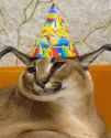 660 KB