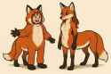 293 KB