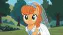 2.18 MB
