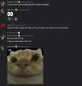 269 KB