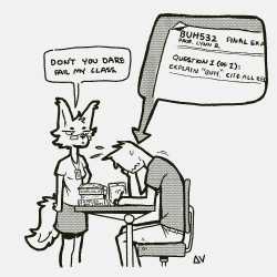58 KB