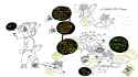 326 KB