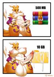 733 KB