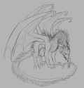 1.02 MB