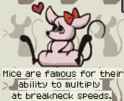 45 KB