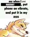 113 KB