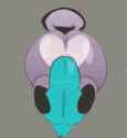 31 KB