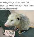 113 KB