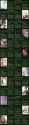 2.95 MB
